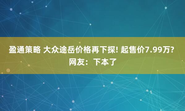盈通策略 大众途岳价格再下探! 起售价7.99万? 网友：下本了